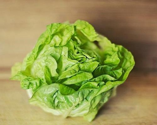 白菜缺锌,叶面肥喷施注意事项 白菜缺锌,叶面肥喷施注意事项