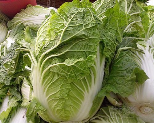 春白菜,水溶肥设备厂家排名 春白菜,水溶肥设备厂家排名