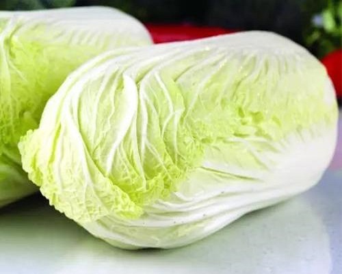 秋冬白菜,有机水溶肥批发