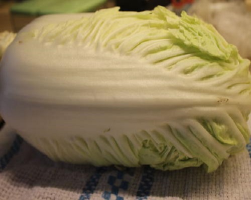 白菜脱帮,水溶肥 白菜脱帮,水溶肥