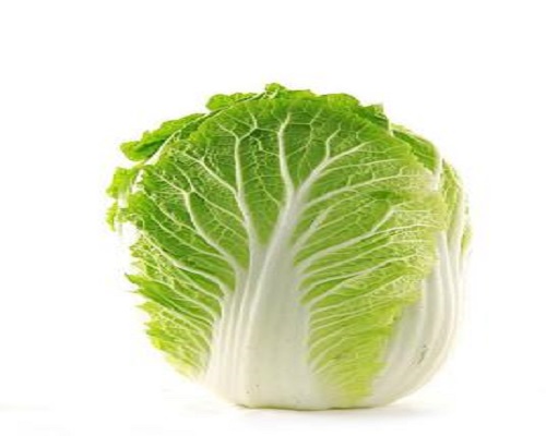 青研桔红1号,水溶肥设备厂家排名