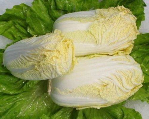 西白12号,品牌冲施肥