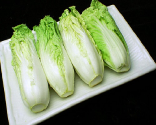东方18,大量元素水溶肥