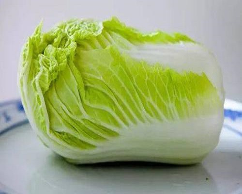 春泉,冲施肥厂家