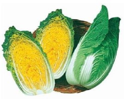 京春娃娃菜,颗粒水溶肥