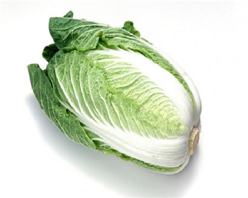 早熟5号白菜,叶面肥配方