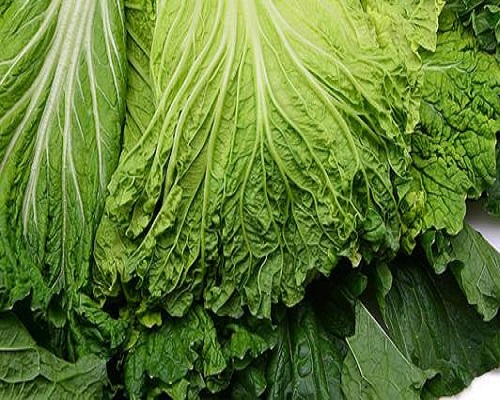 青麻叶白菜,保花保果叶面肥