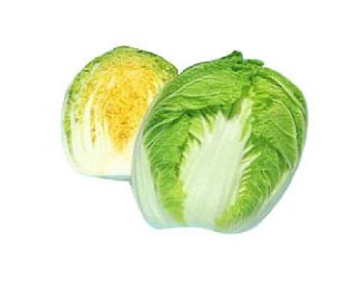夏阳,郑州水溶肥