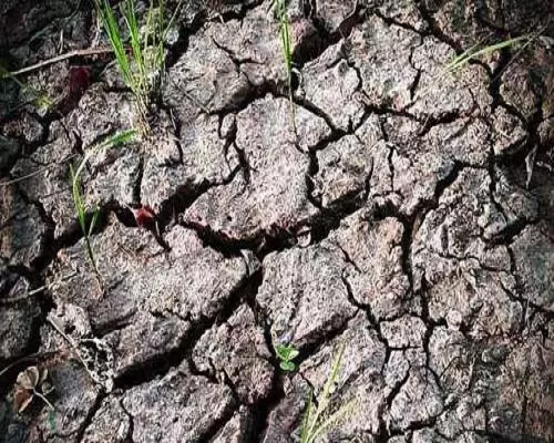 酸化土壤,中国十大名牌水溶肥 酸化土壤,中国十大名牌水溶肥